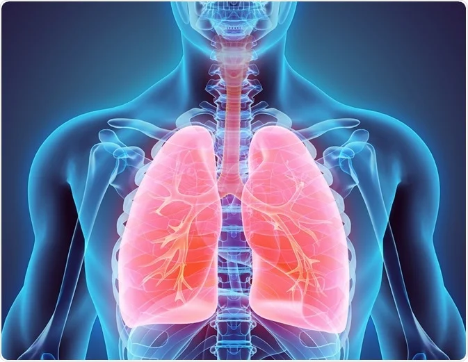 COPD (بیماری مزمن انسدادی ریه)؛ شناخت، پیشگیری و درمان